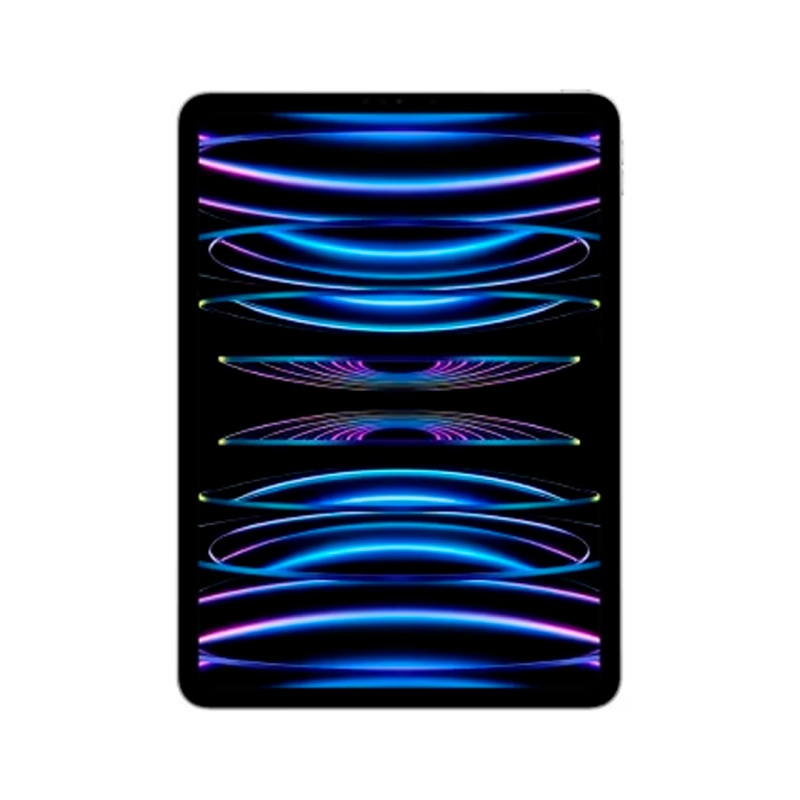 IPAD PRO  11 M2 256GB