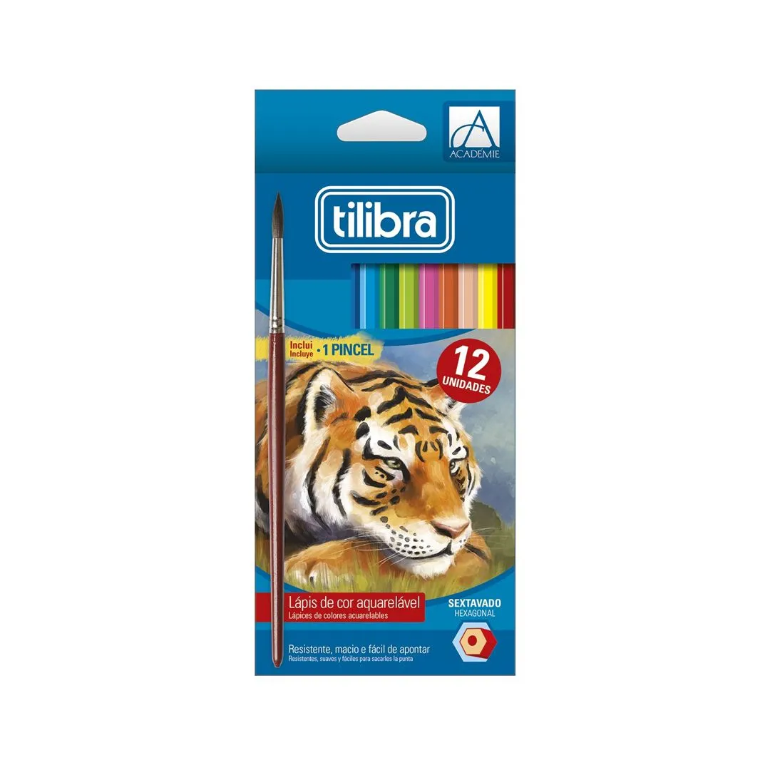 LAPIS DE COR SEXTAVADO ACADEMIE  12 CORES