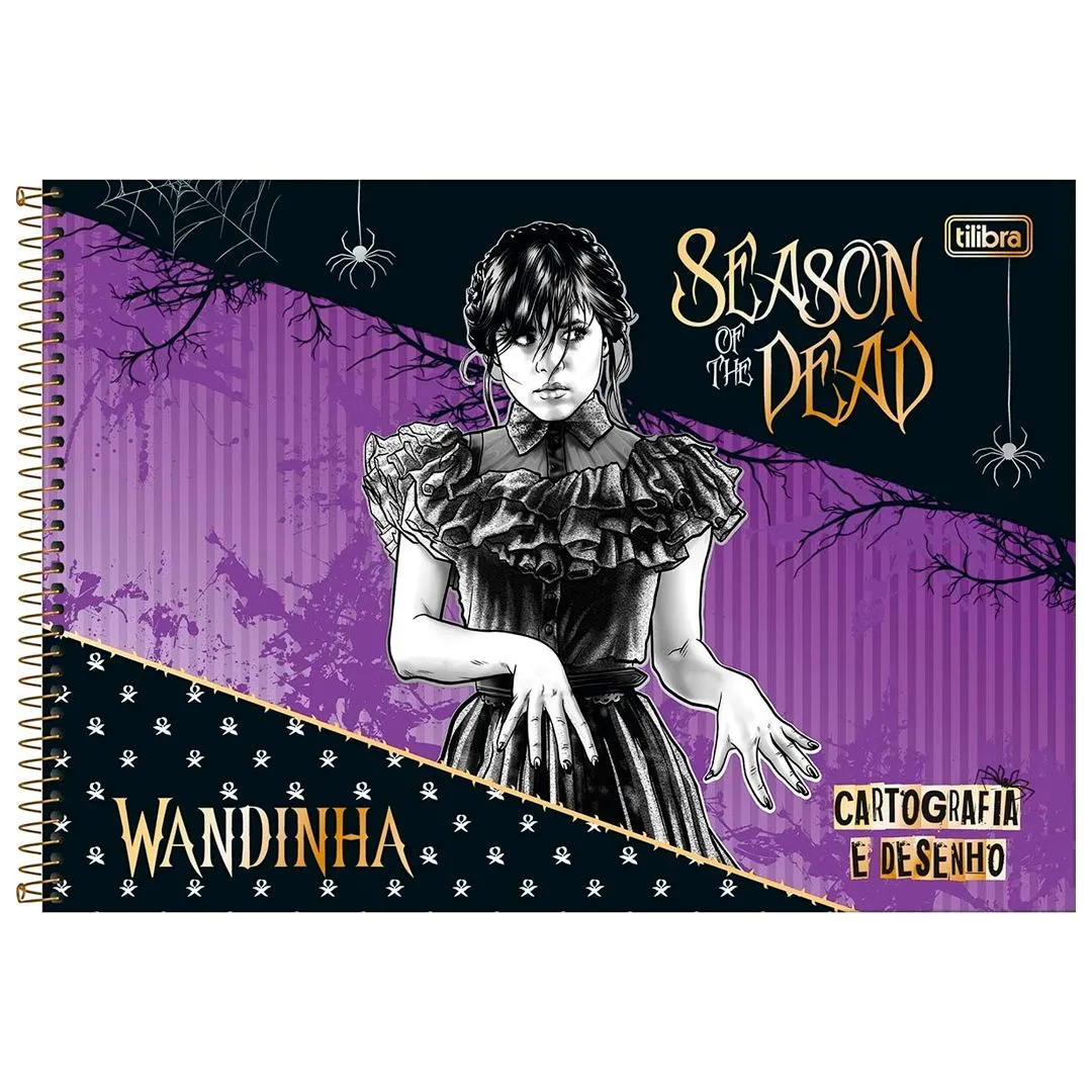 CADERNO DE CARTOGRAFIA E  DESENHO ESPIRAL CAPA DURA WANDINHA 80 FOLHAS- SORTIDO