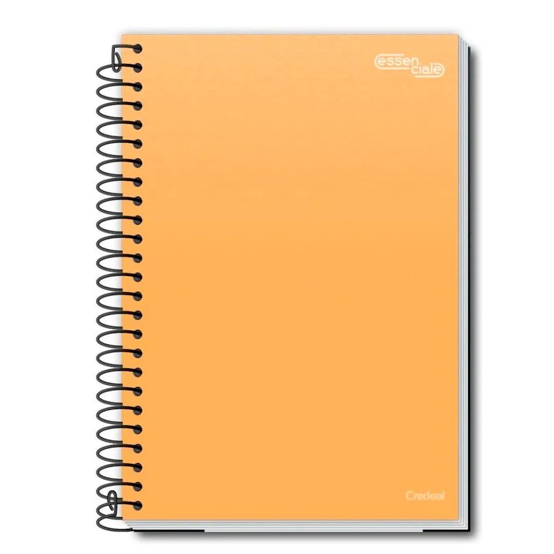 CADERNO 1/4 CAPA DURA 80 FOLHA- ESSENCIALE 
