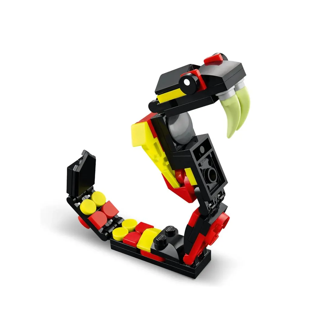 ANIMAL SELVAGEM: ARANHA SURPREENDENTE