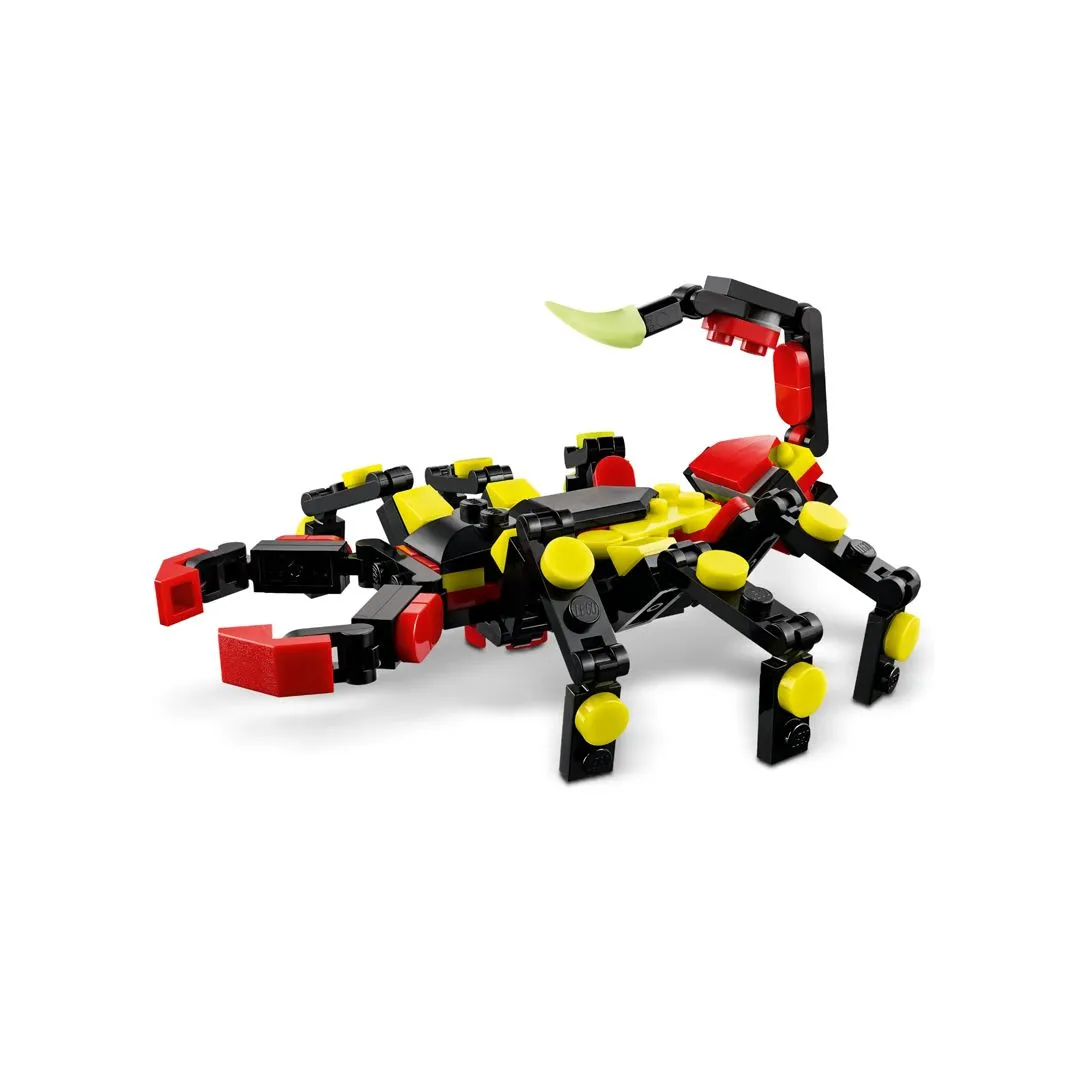 ANIMAL SELVAGEM: ARANHA SURPREENDENTE