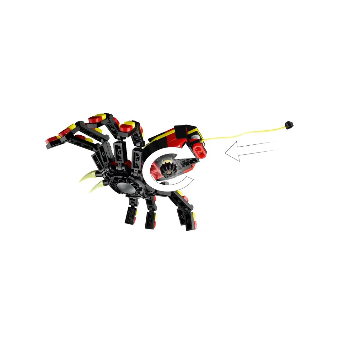 ANIMAL SELVAGEM: ARANHA SURPREENDENTE