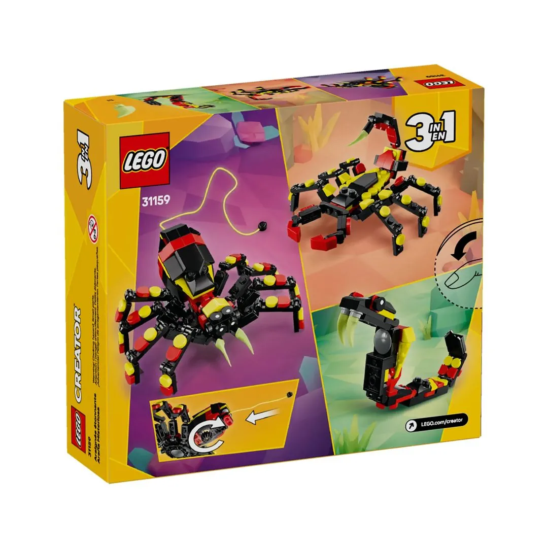 ANIMAL SELVAGEM: ARANHA SURPREENDENTE