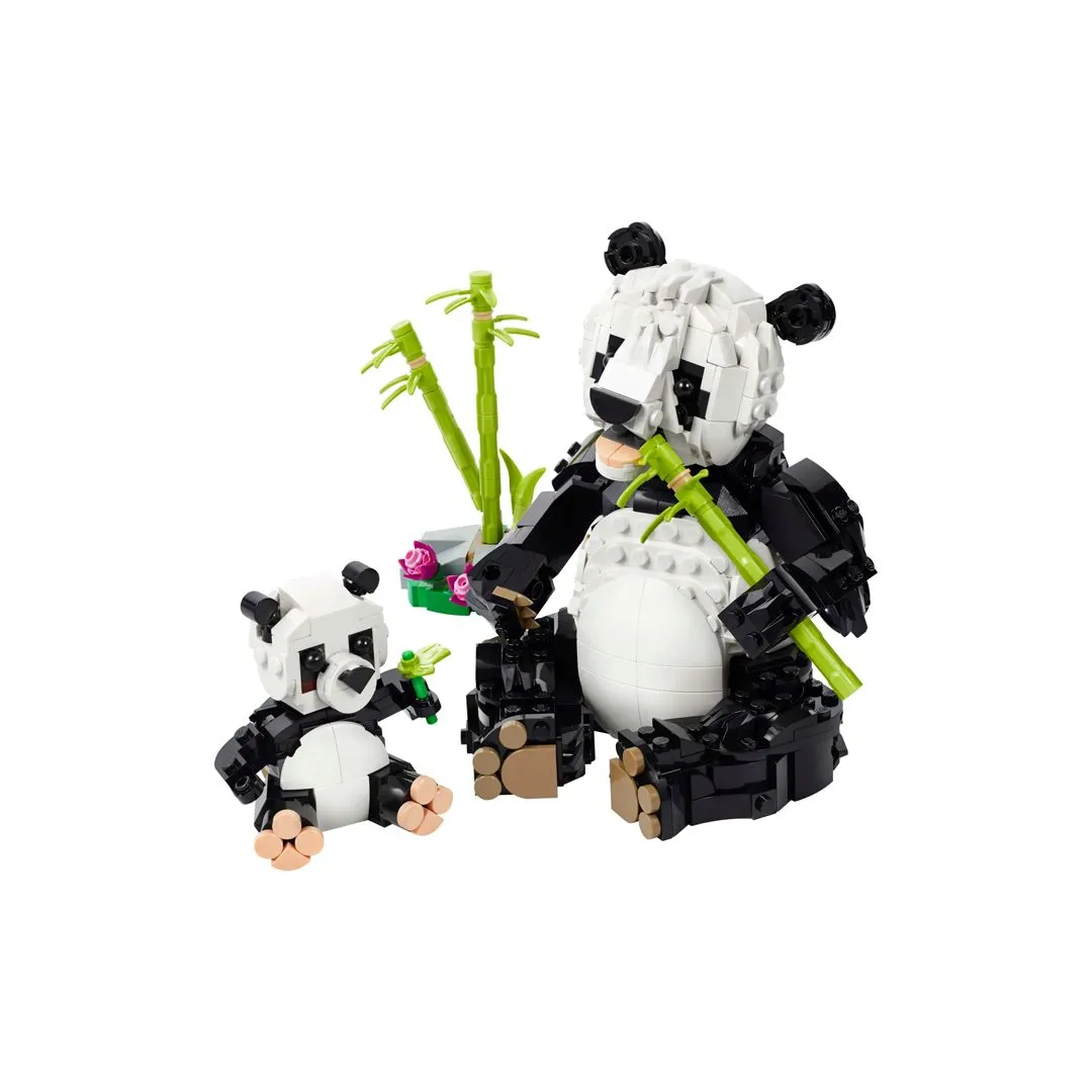 ANIMAIS SELVAGENS: FAMILIA DE PANDAS