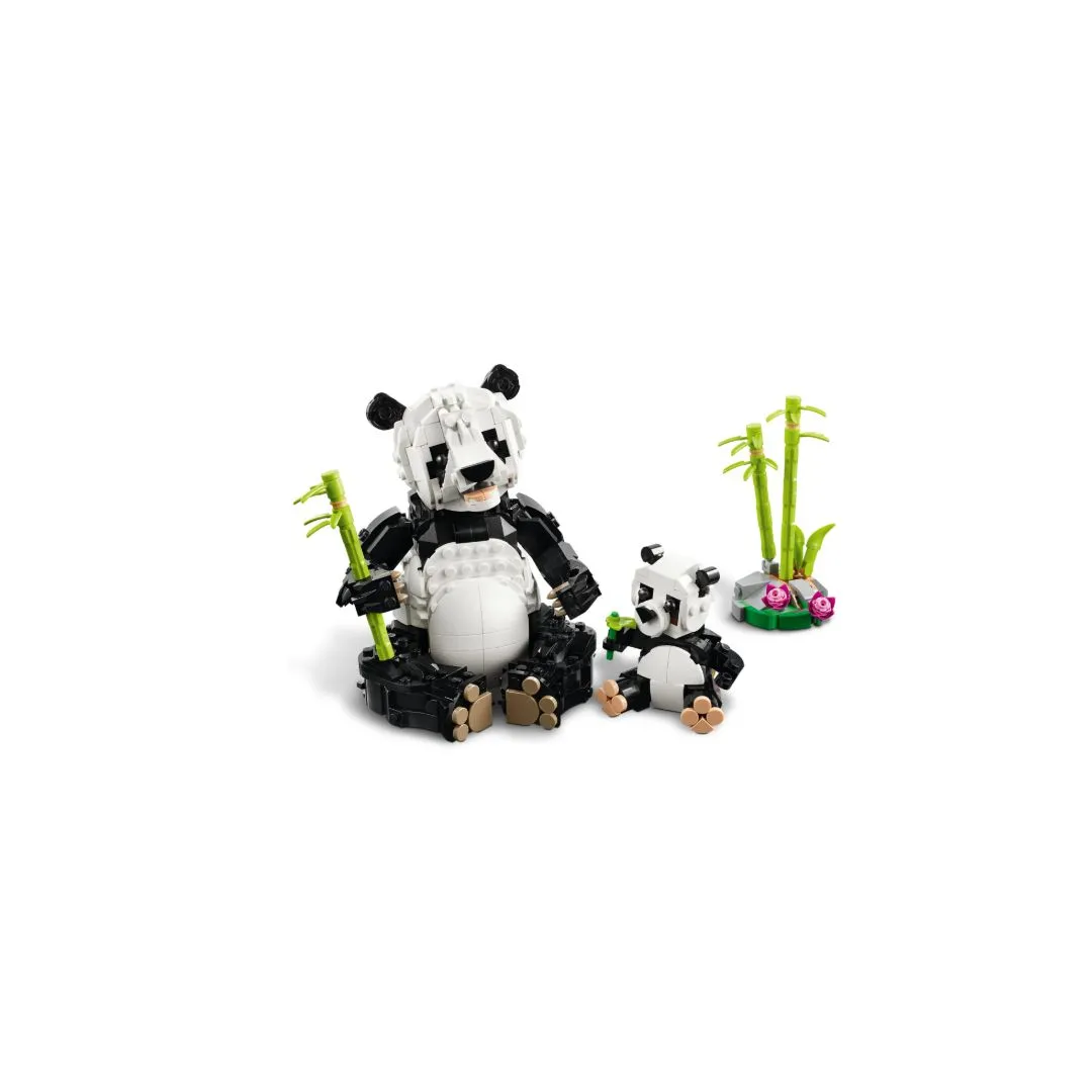 ANIMAIS SELVAGENS: FAMILIA DE PANDAS