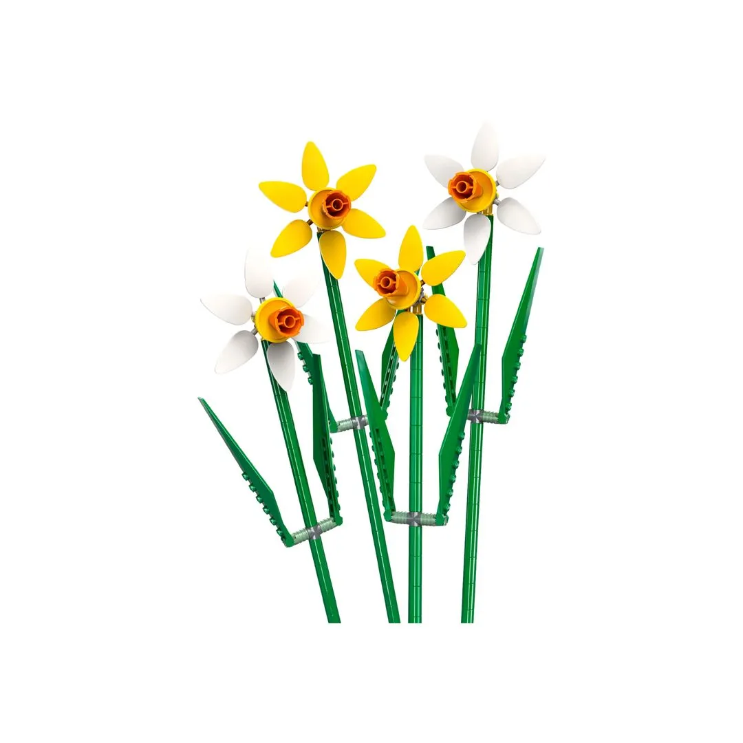 NARCISOS