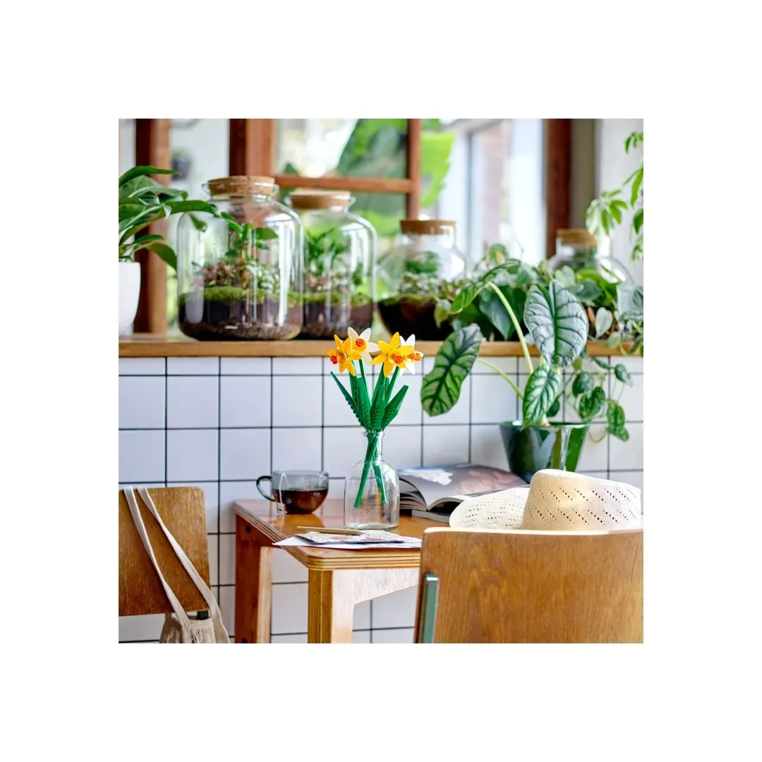 NARCISOS