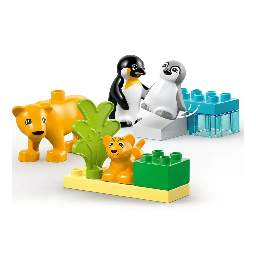 FAMILIAS DE ANIMAIS SELVAGENS: PINGUINS E LEOES