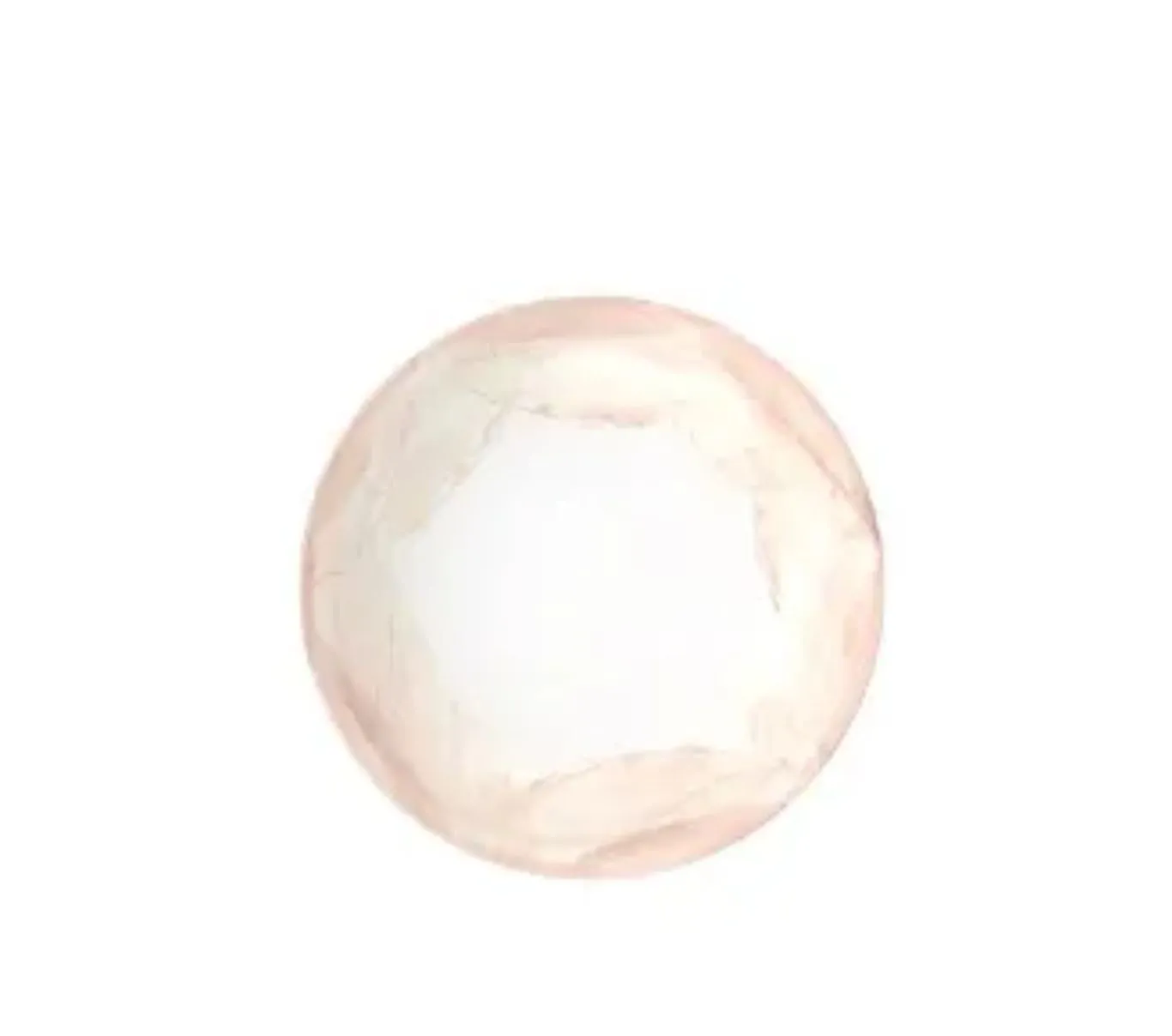 PRATO FUNDO C 22CM ROSE HO 
